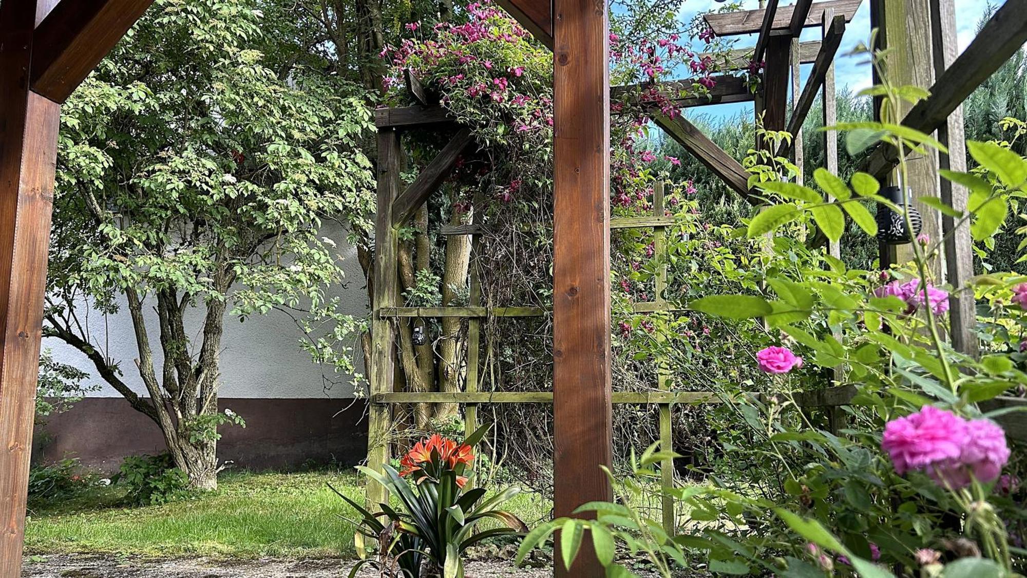 Grosszuegige Wohnung Mit Terrasse Und Gartenzugang - Das Komplette Erdgeschoss Bindlach Dış mekan fotoğraf